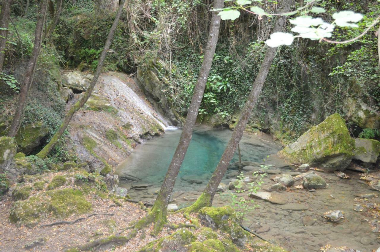 Sul Cammino * Oneglia